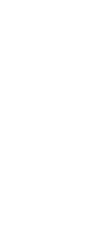 事前予約限定！