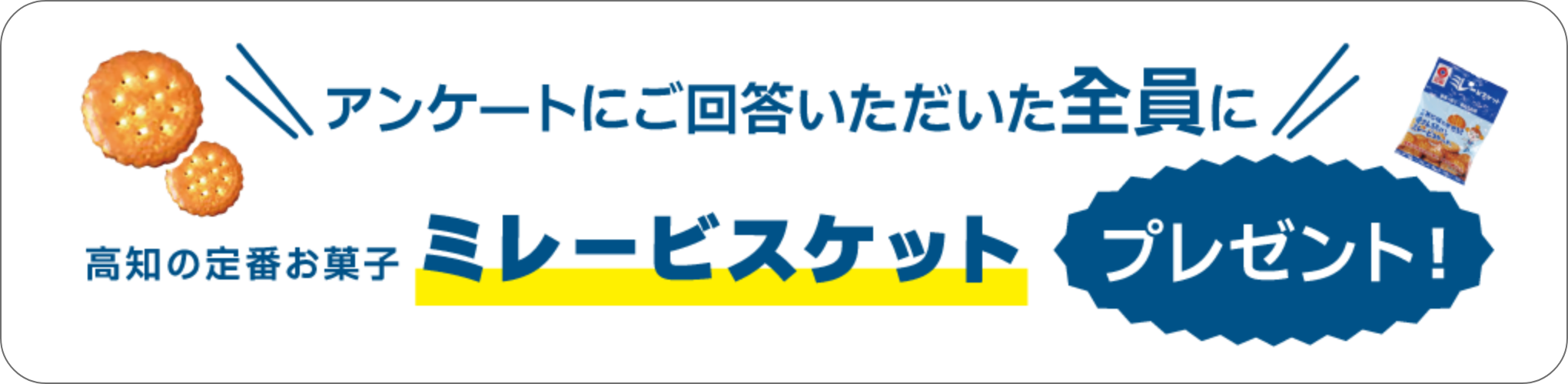 高知の定番お菓子「ミレービスケット」をプレゼント！