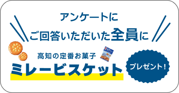 高知の定番お菓子「ミレービスケット」をプレゼント！