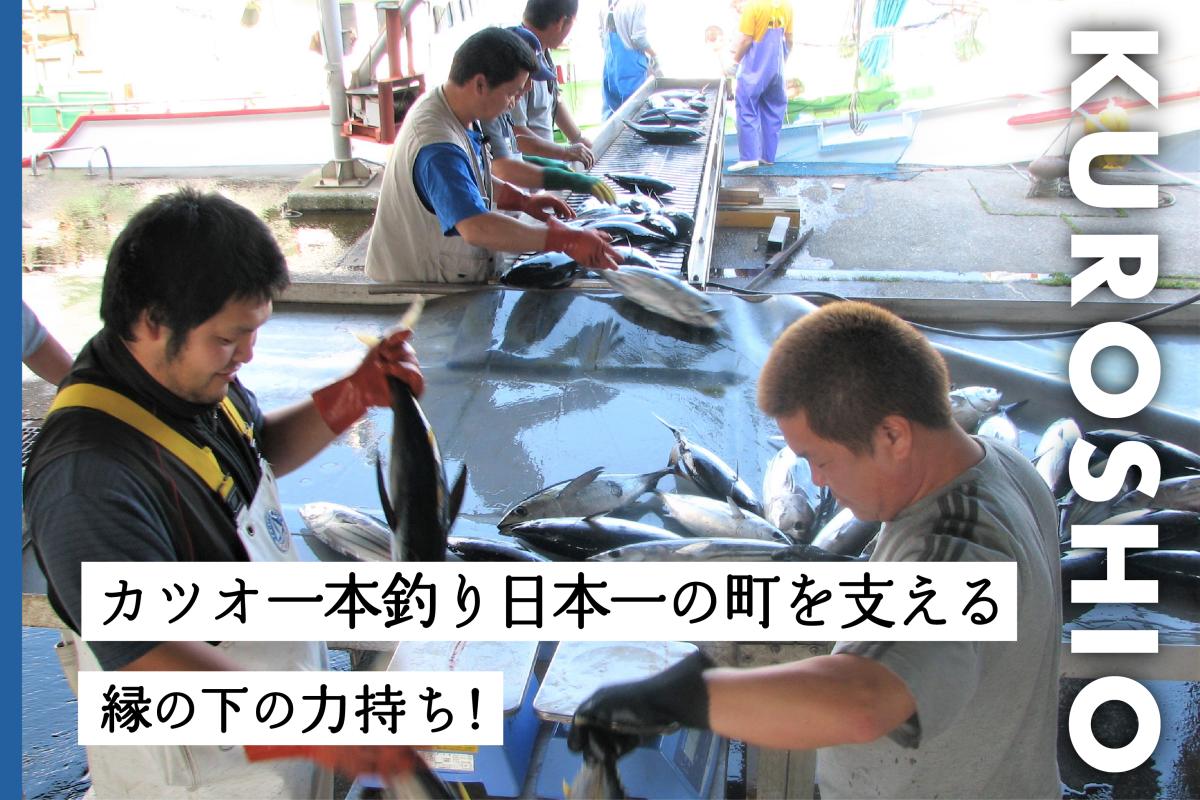 カツオ漁獲高日本一の町で漁師を支える、地域おこし協力隊を募集中！