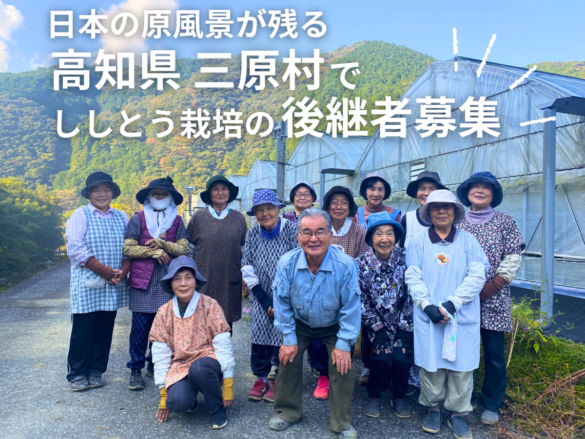 農業に興味がある方必見!!<br>ニッポンの原風景が残る「三原村」で農事組合法人の後継者募集！