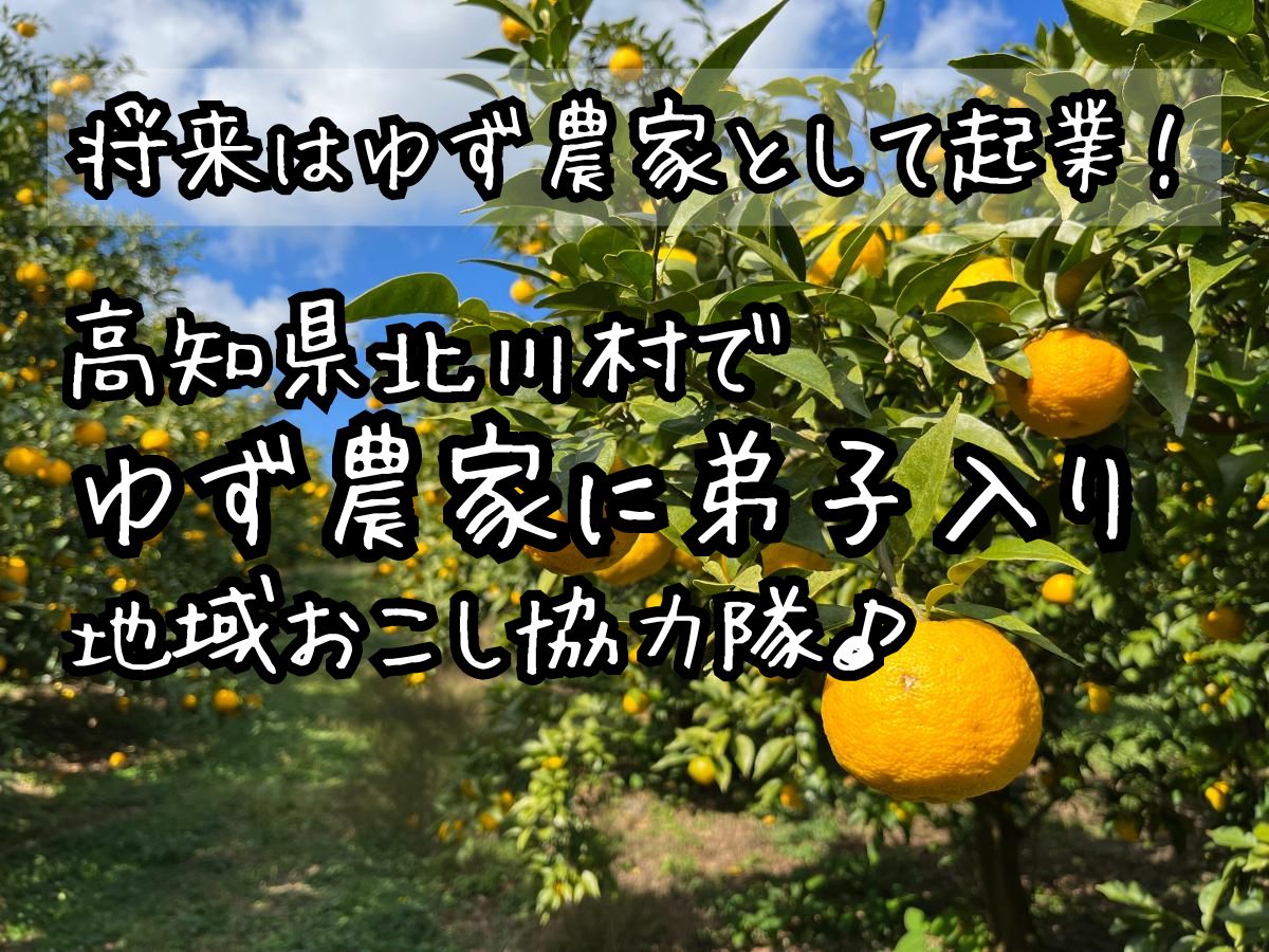 【北川村】ゆずの産地で「ゆず農家」を目指す/地域おこし協力隊を募集します！