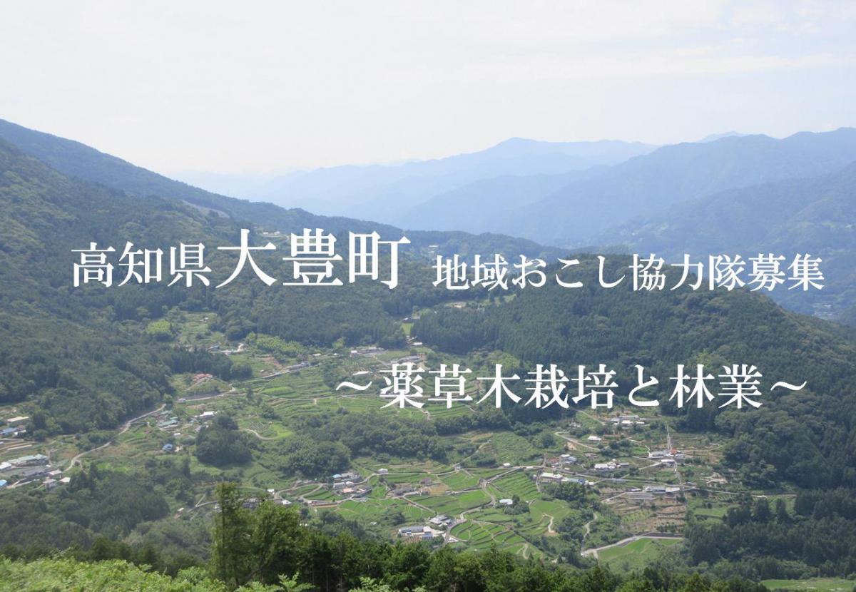 【地域おこし協力隊】四国山地の真ん中で森と里を活かしながら暮らしませんか？～薬草木栽培と林業～