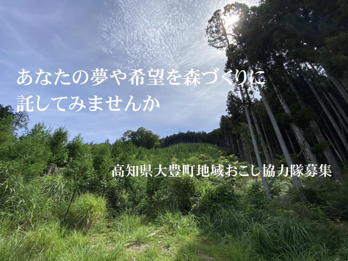 【林業】大豊町東豊永地区であなたの夢や希望を森づくりに託してみませんか？