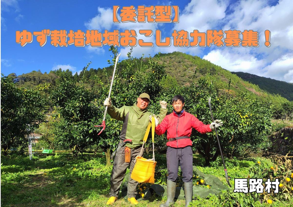 【馬路村】令和7年度4月採用　ゆず栽培の地域おこし協力隊（委託型）を募集します！　　　応募締切：令和7年1月31日㈮