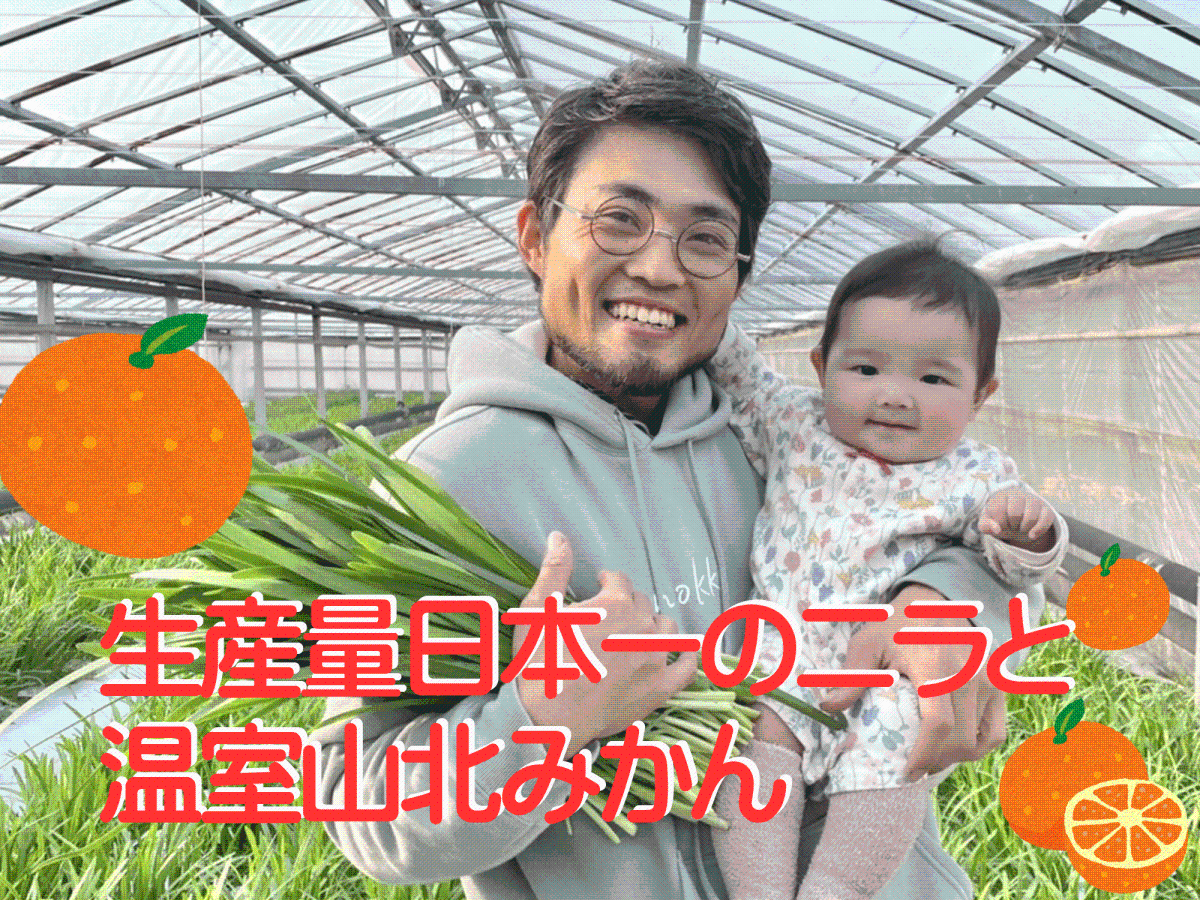 【香南市】日本一の生産量「ニラ」と真夏に食べるブランドみかん「山北温室みかん」の収穫作業