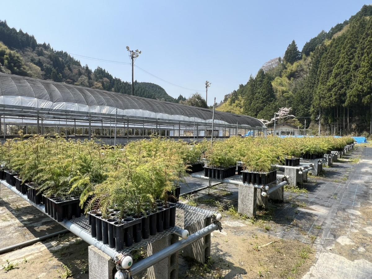 【地域おこし協力隊募集！】集落活動センター西峰の後継者を募集します
