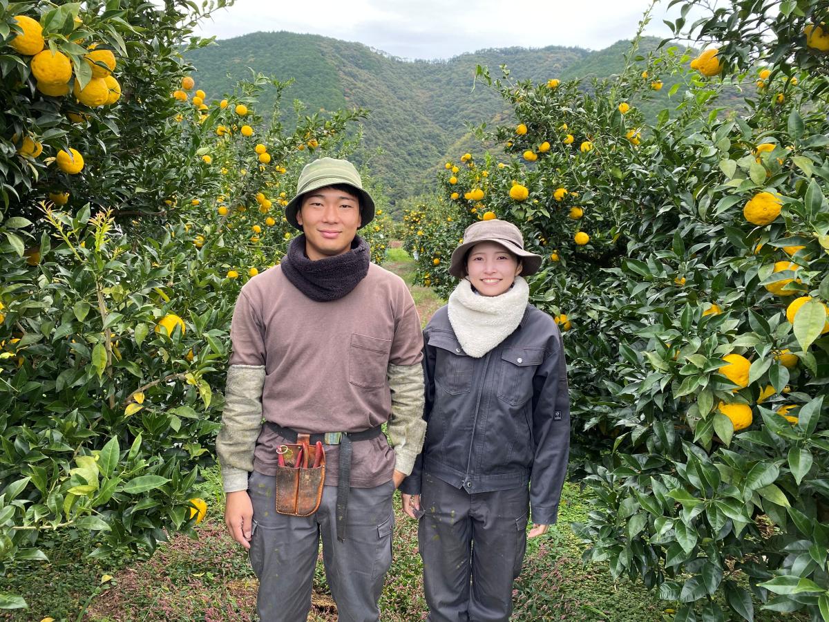 【北川村】ゆずの産地で「ゆず農家」を目指す/地域おこし協力隊を募集します！