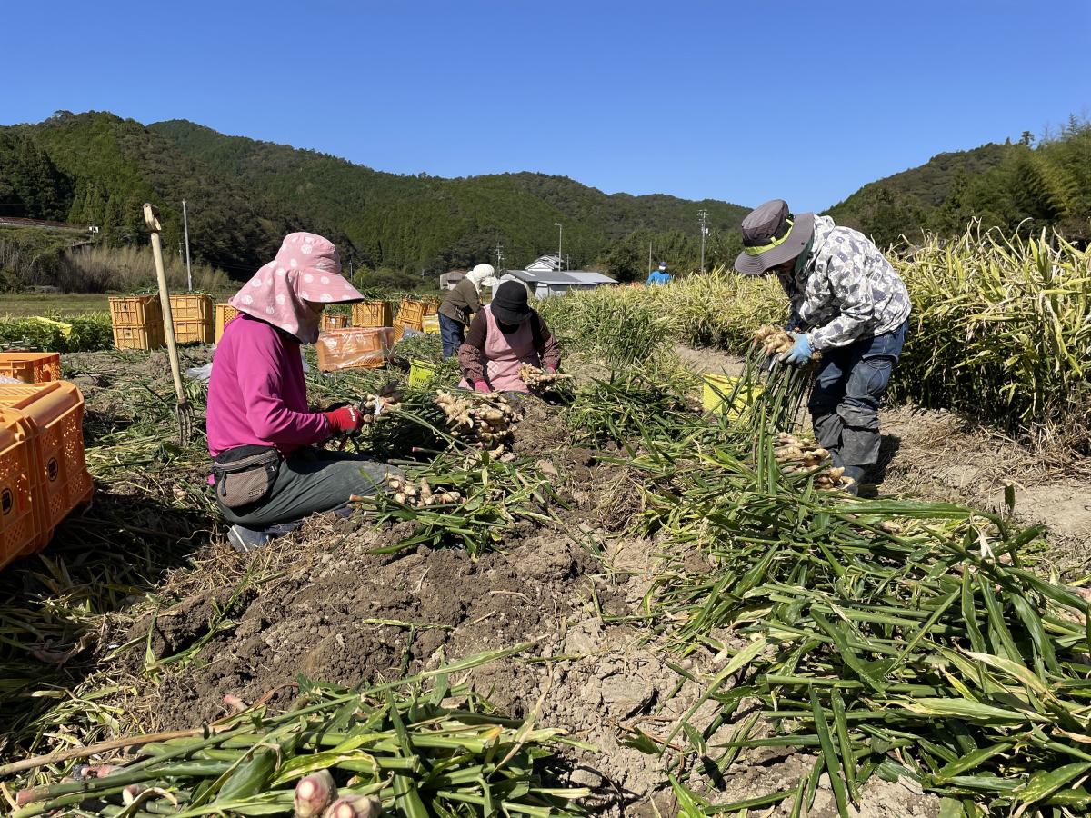【四万十町】働きながら「学ぶ」「暮らす」ふるさとワーキングホリデー参加者募集中！