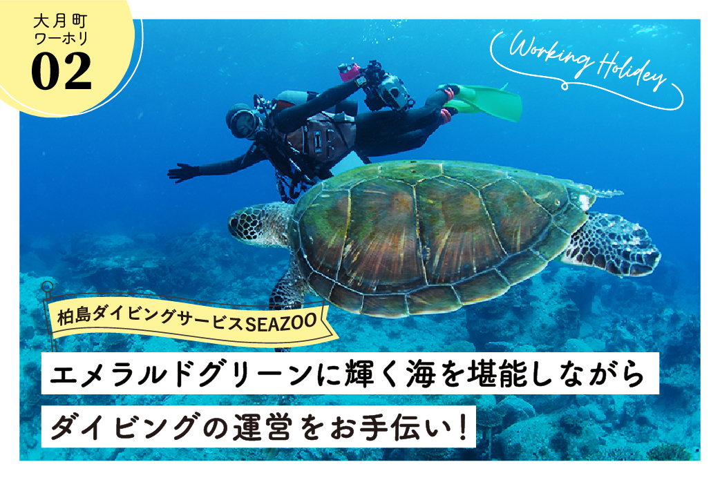 【大月町】ダイビングのライセンス取得も可能！エメラルドグリーンに輝く柏島の海を堪能しませんか？