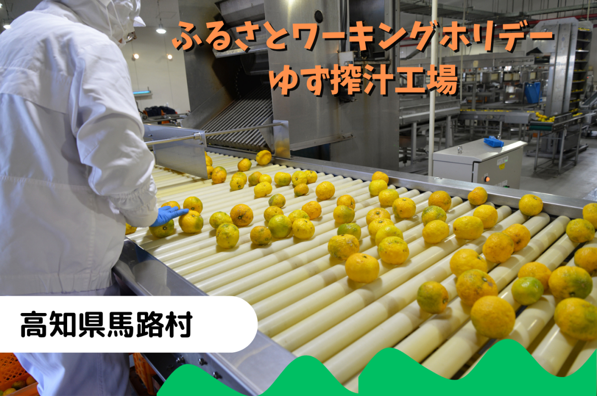 【馬路村】ふるさとワーキングホリデー　ゆず搾汁工場