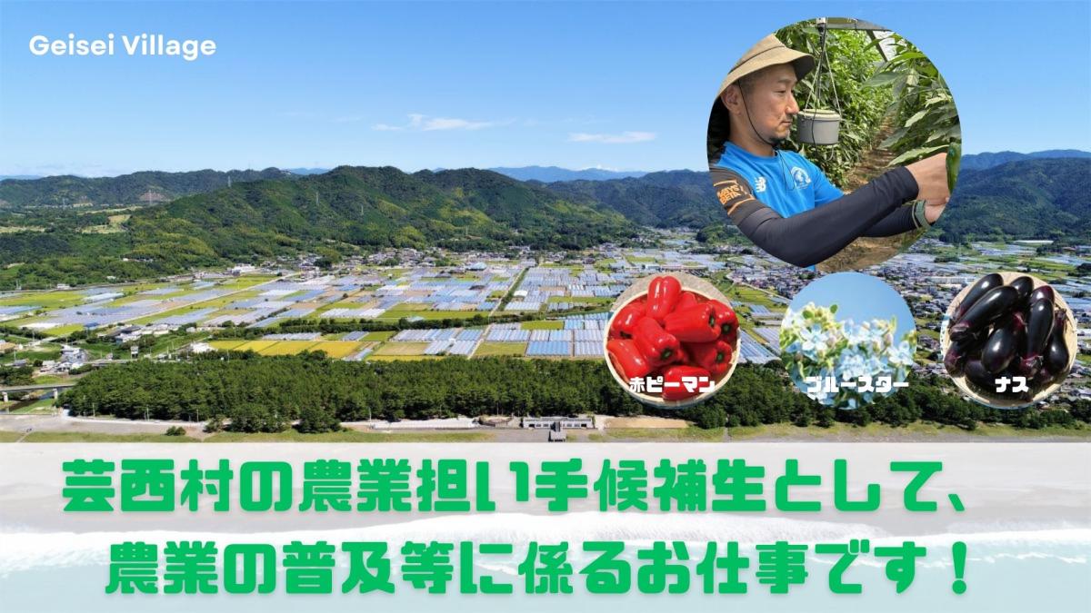 【芸西村】地域おこし協力隊（農業振興業務）の募集のお知らせ