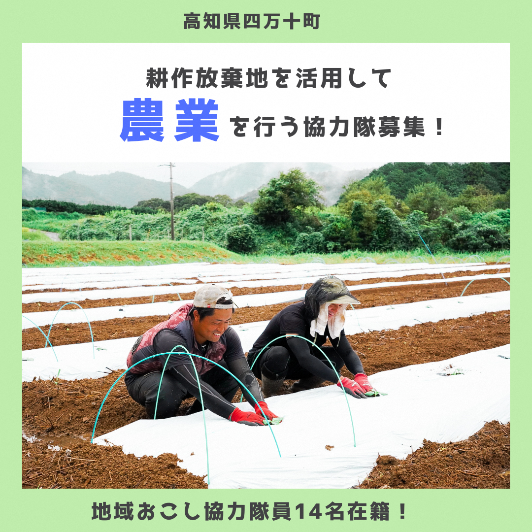 【四万十町地域おこし協力隊】農業を行う協力隊募集！