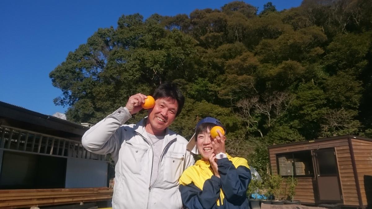 【東洋町】ポンカンの収穫体験！