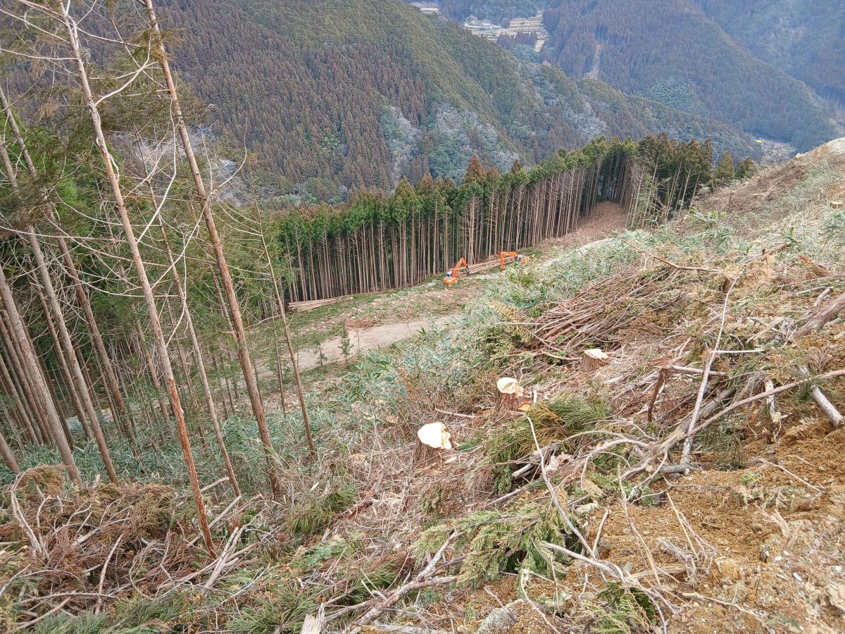 協力隊になると実際に活動する現場
