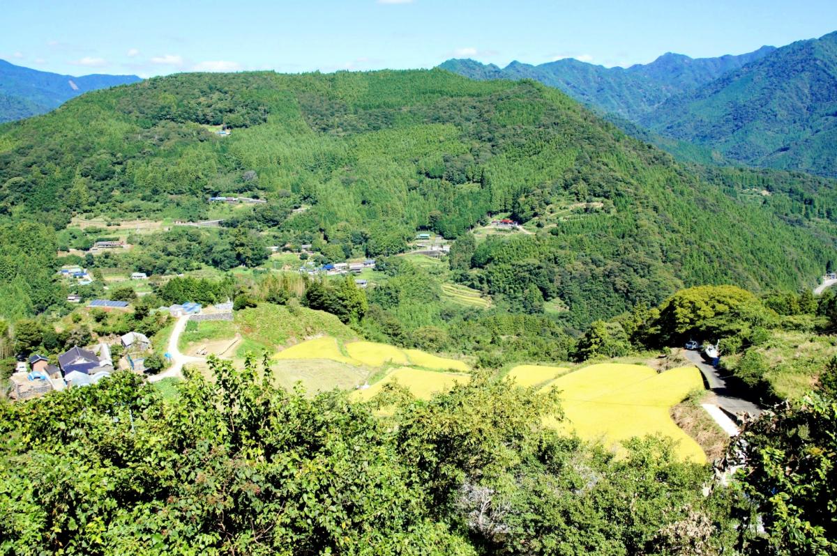 大豊町の集落の景観
