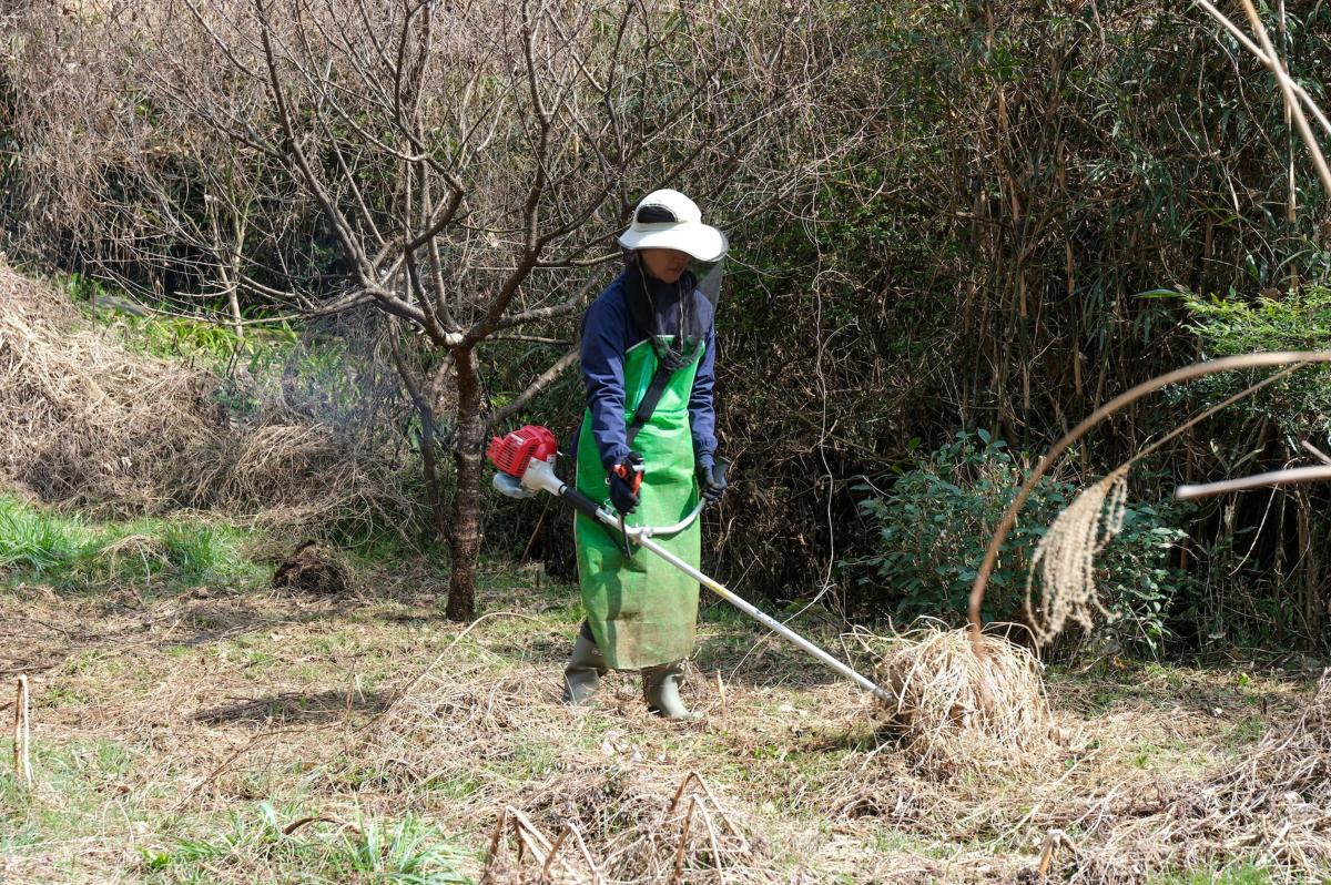 持参した草刈機を使う参加者も