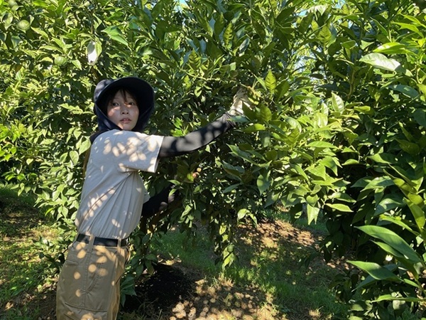 “私たちの活動が 地域を元気にする！” 地域おこし協力隊を募集します【北川村】