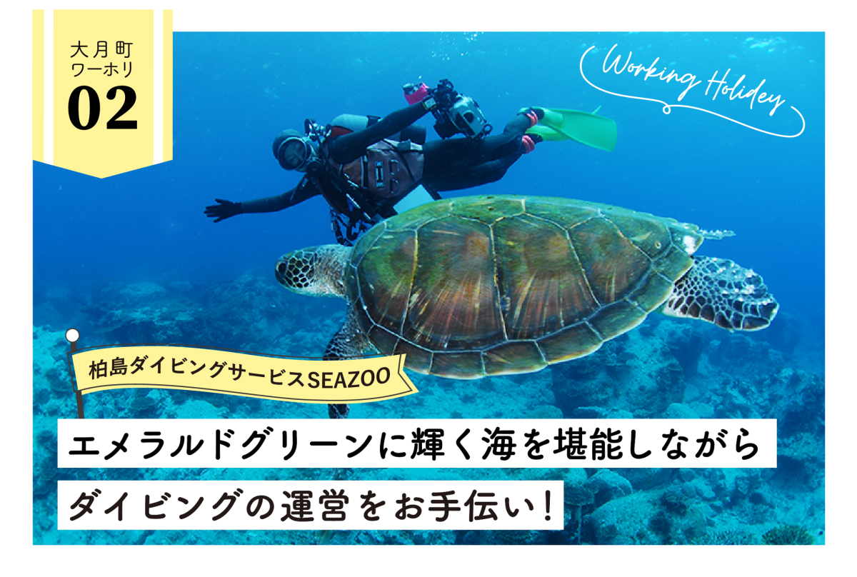 【大月町】ダイビングのライセンス取得も可能！エメラルドグリーンに輝く柏島の海を堪能しませんか？
