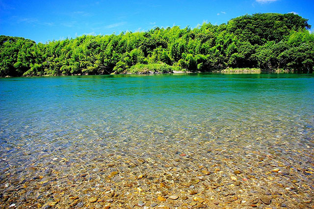 高知県が誇る清流、仁淀川まですぐです！