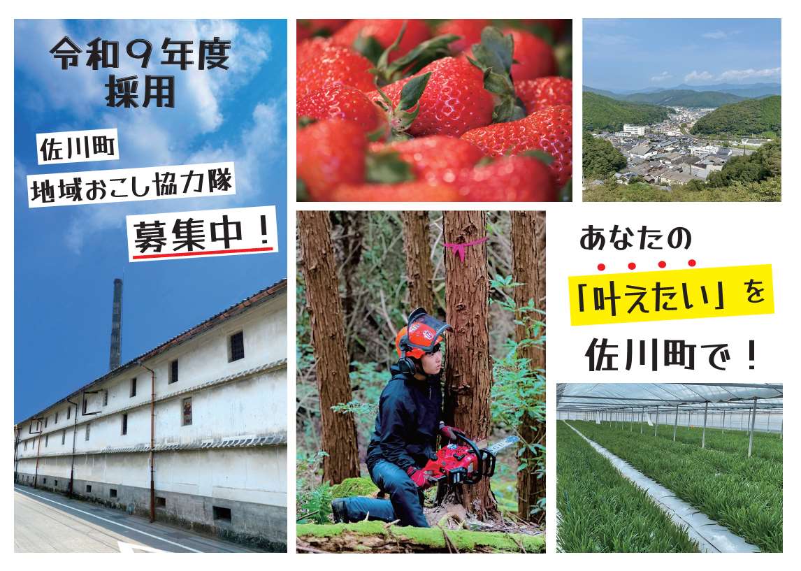 【佐川町】地域おこし協力隊2027年度採用　3つのミッションを募集中！