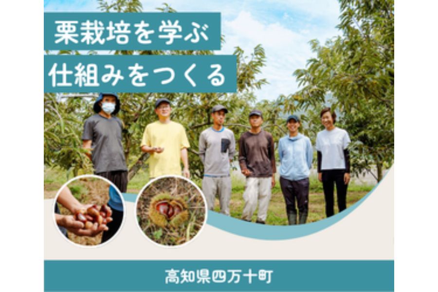 【四万十町】栗栽培を学ぶ仕組みをつくる地域おこし協力隊を募集