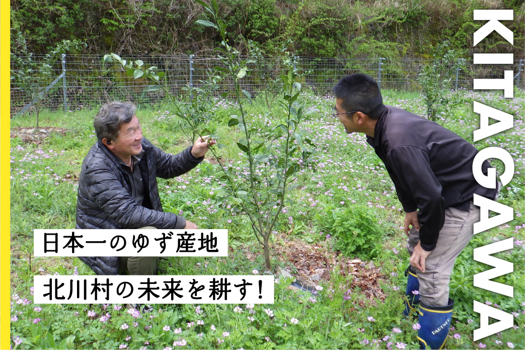 【北川村】ゆずの母となる木を育て、苗木を育てる地域おこし協力隊募集！