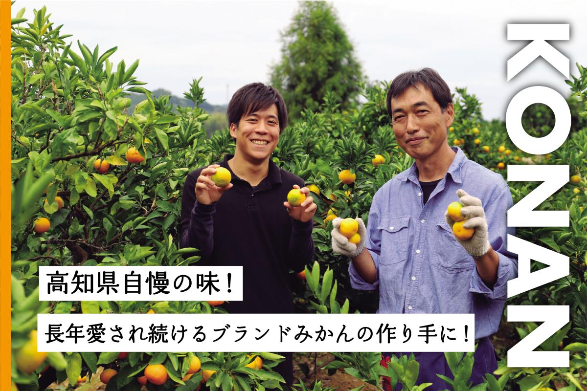 山北 みかん 農家