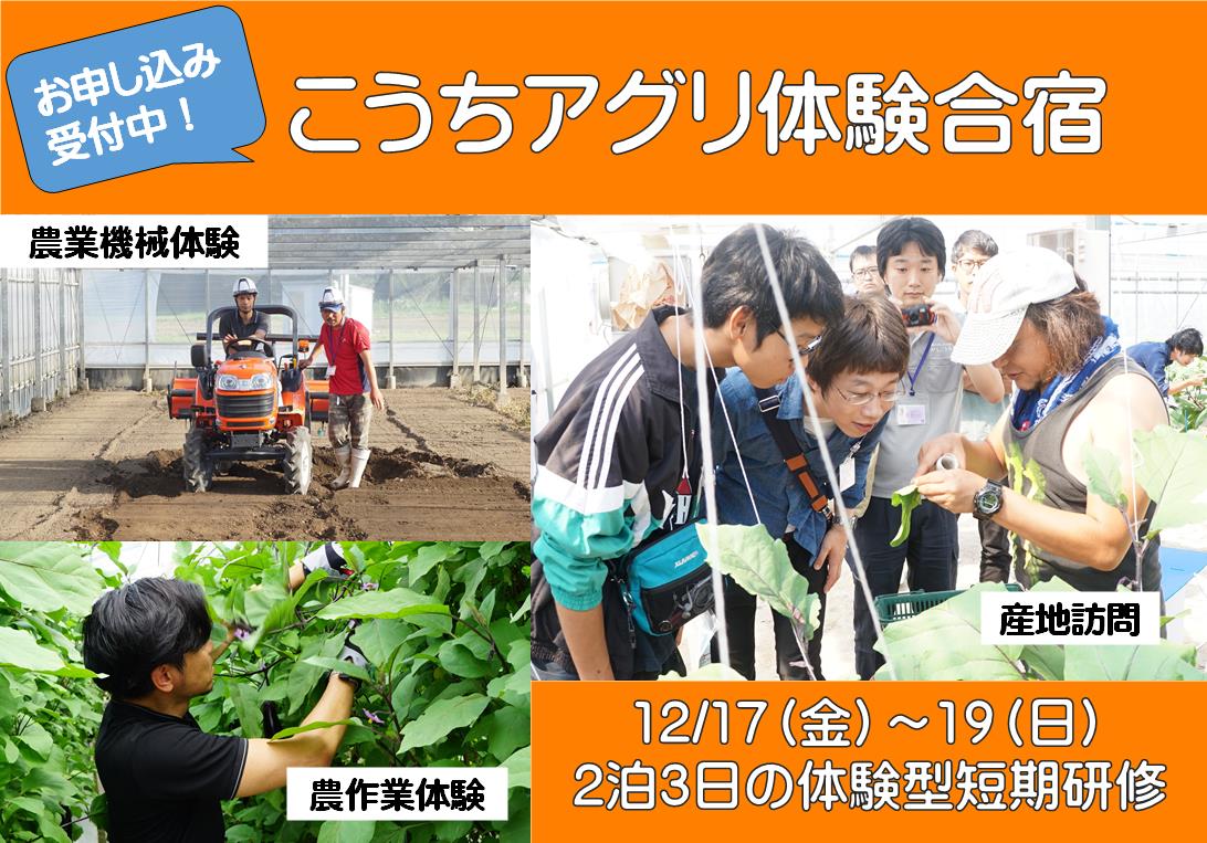 体験型農業短期研修「こうちアグリ体験合宿」12/17（金）～19（日）