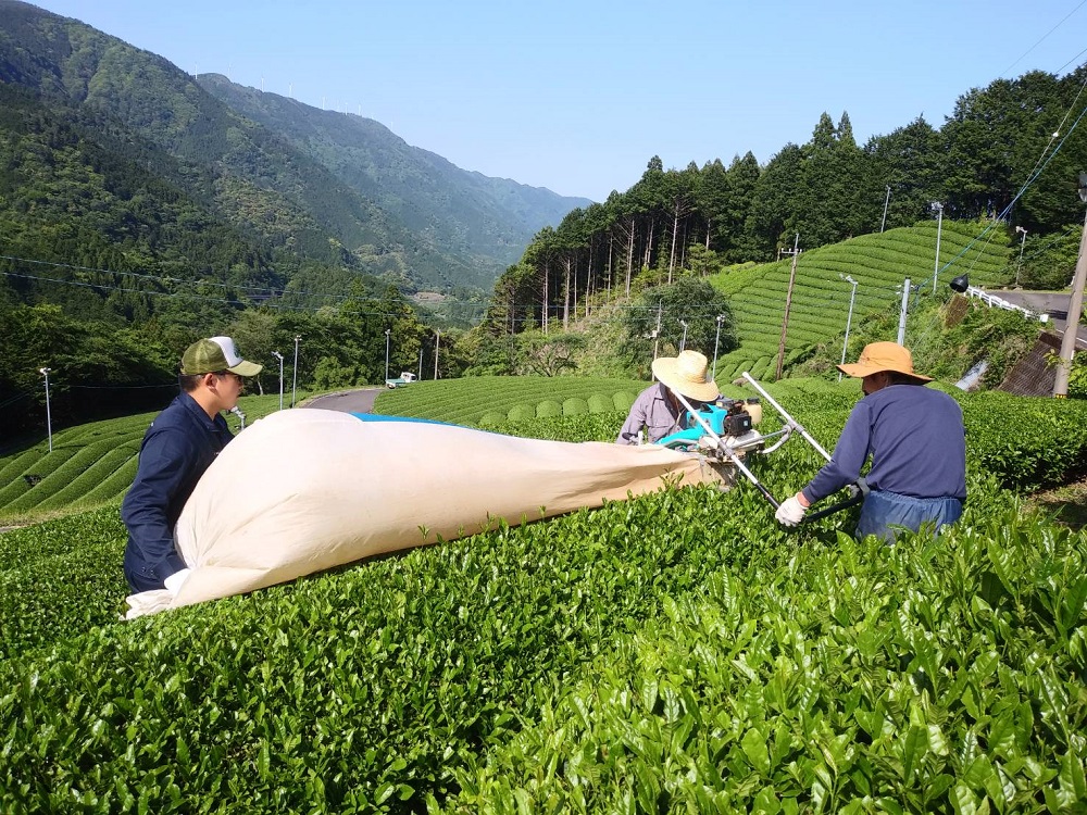 茶業振興業務