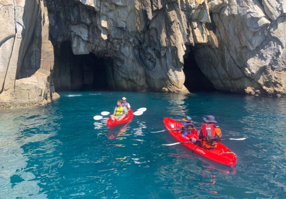 自然体験コンテンツも注目を集めています