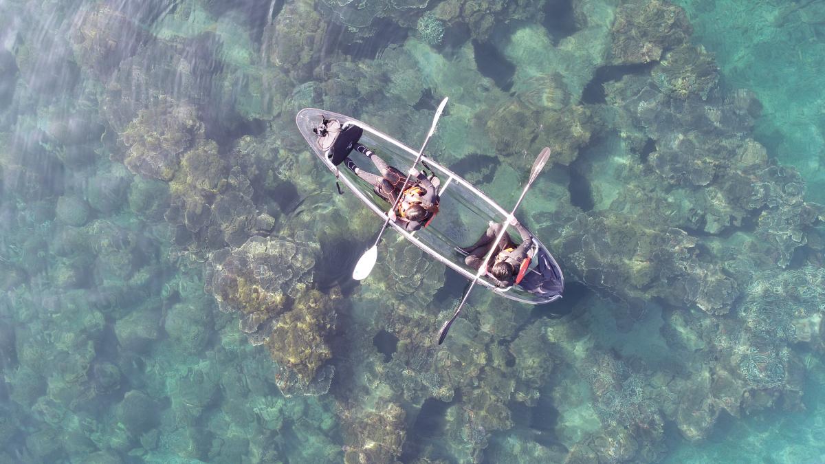 サンゴと熱帯魚が生息するまち