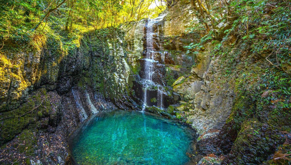 自然の癒しスポットがたくさん