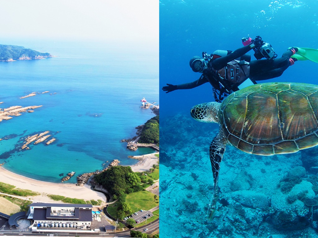 土佐清水市・大月町