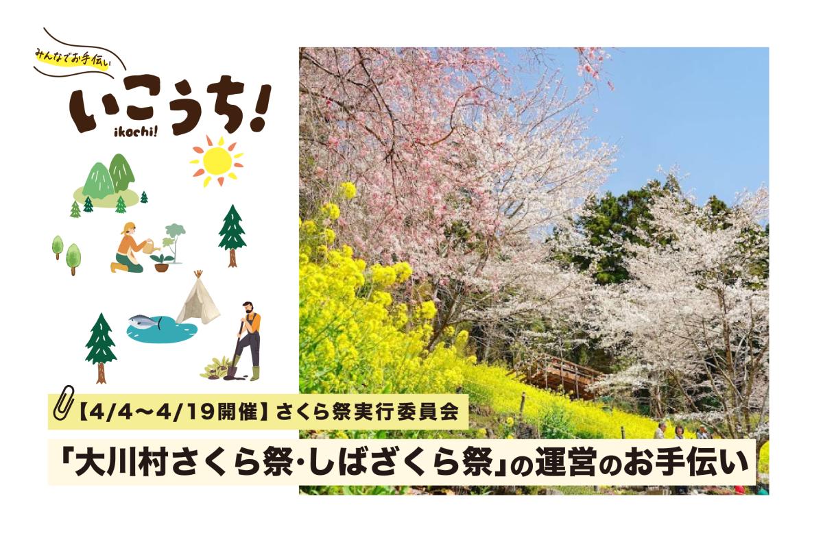 【4/4(土)〜19日(日)大川村開催】四国一人口が少ない村にさくらが咲き誇る！「第13回大川村さくら祭・しばざくら祭」を一緒に盛り上げてくれる仲間を募集します！
