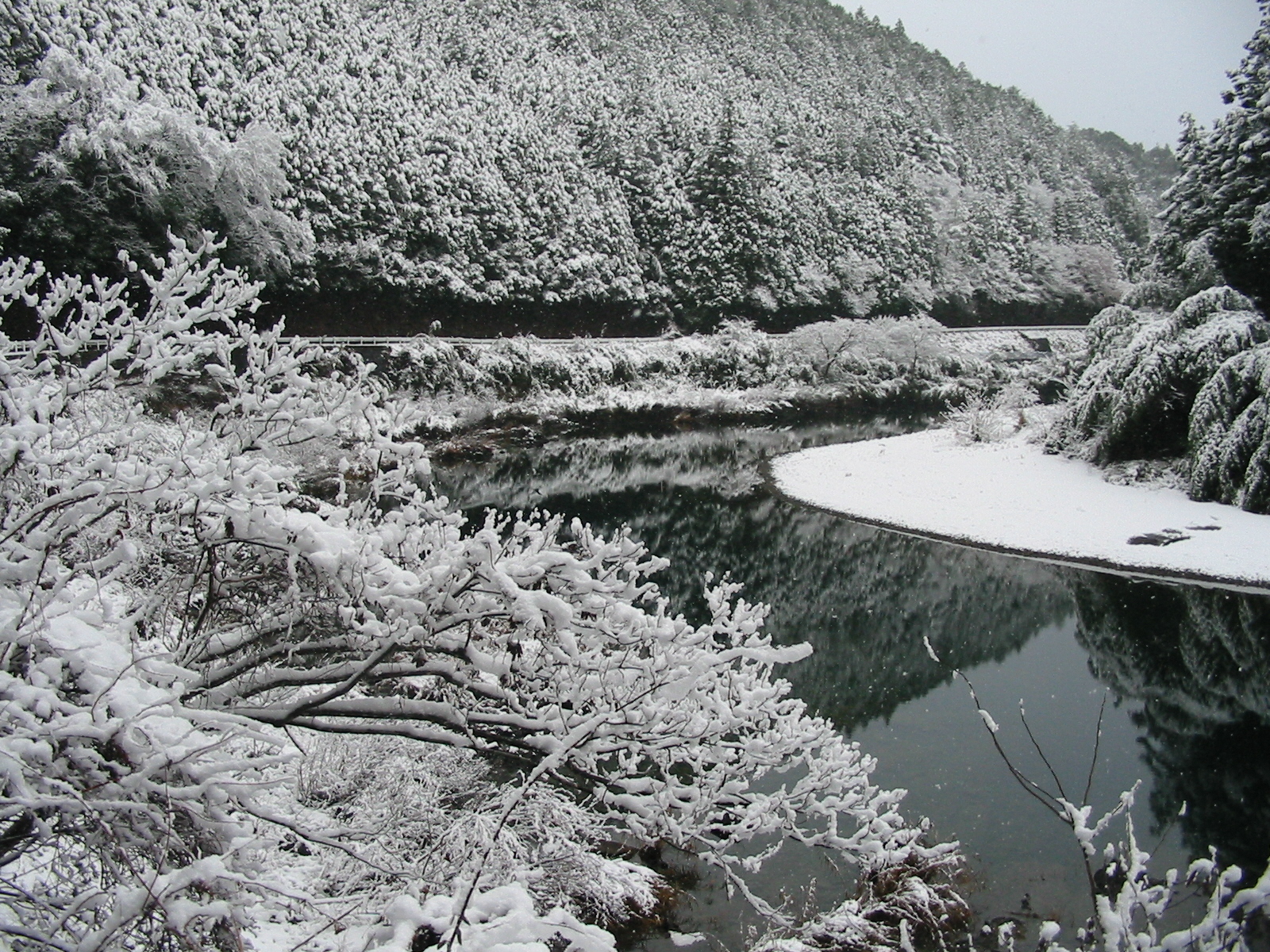 雪景色