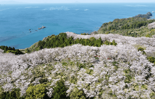 宿毛市