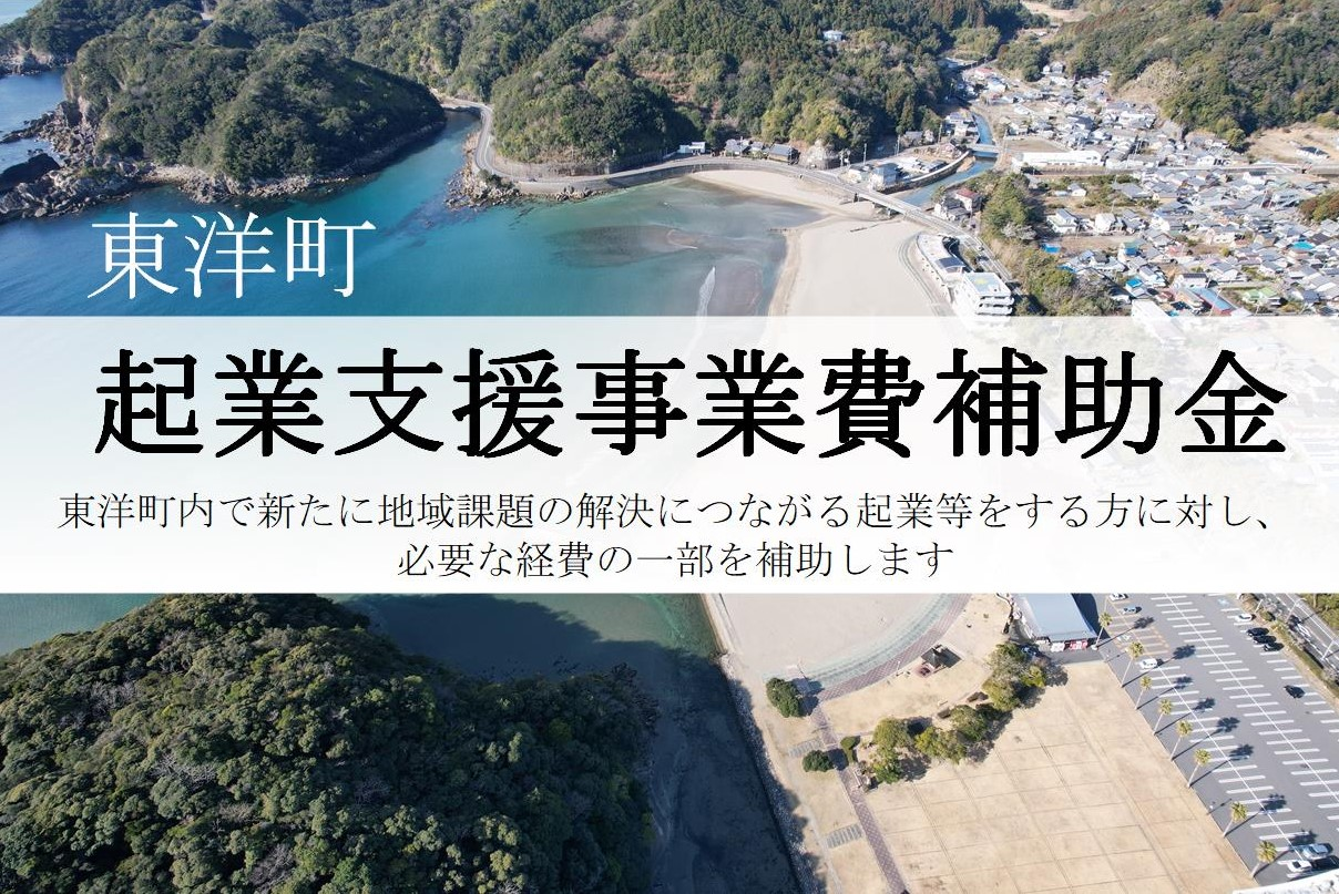 東洋町