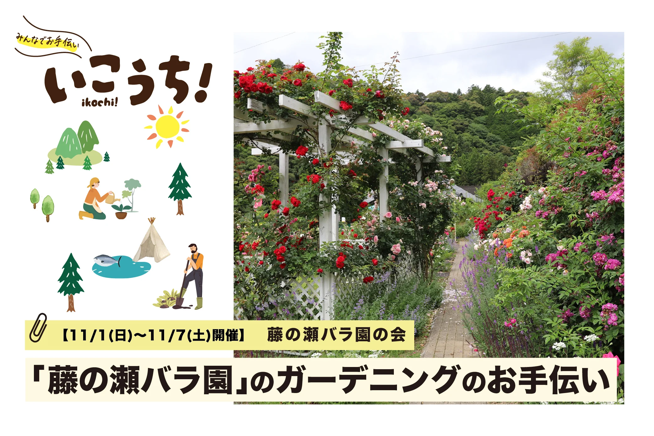 11月まとめ　バラ園