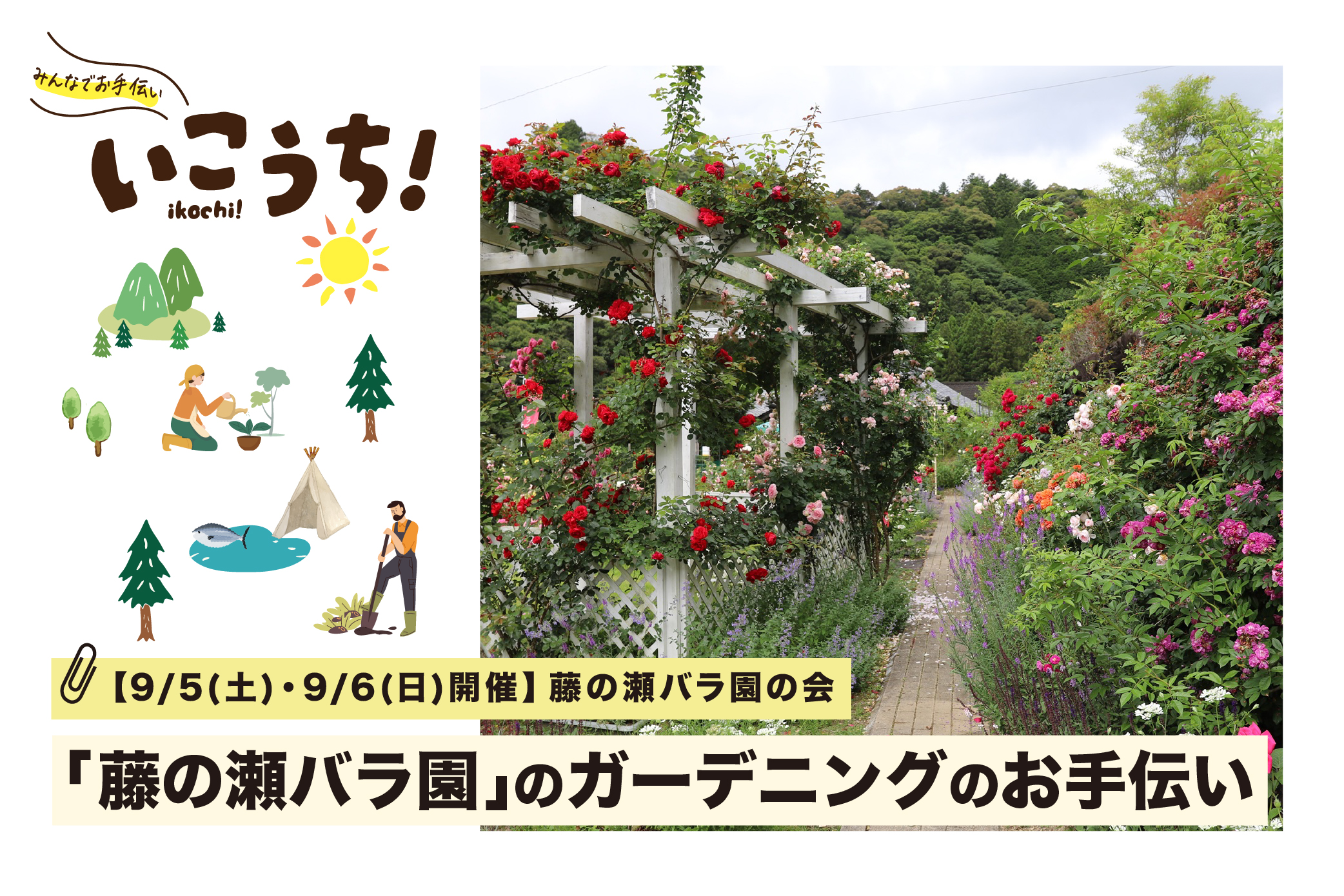 バラ園