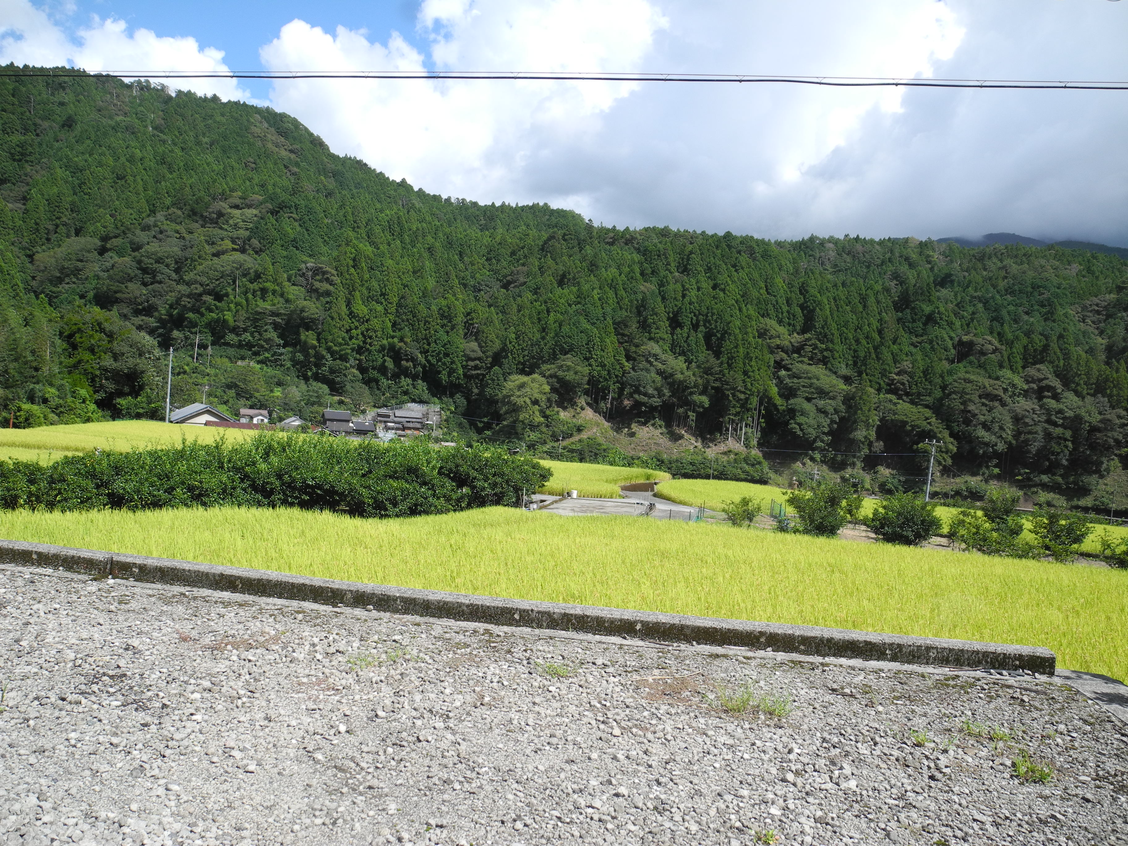 馬路村⑲　相名地区