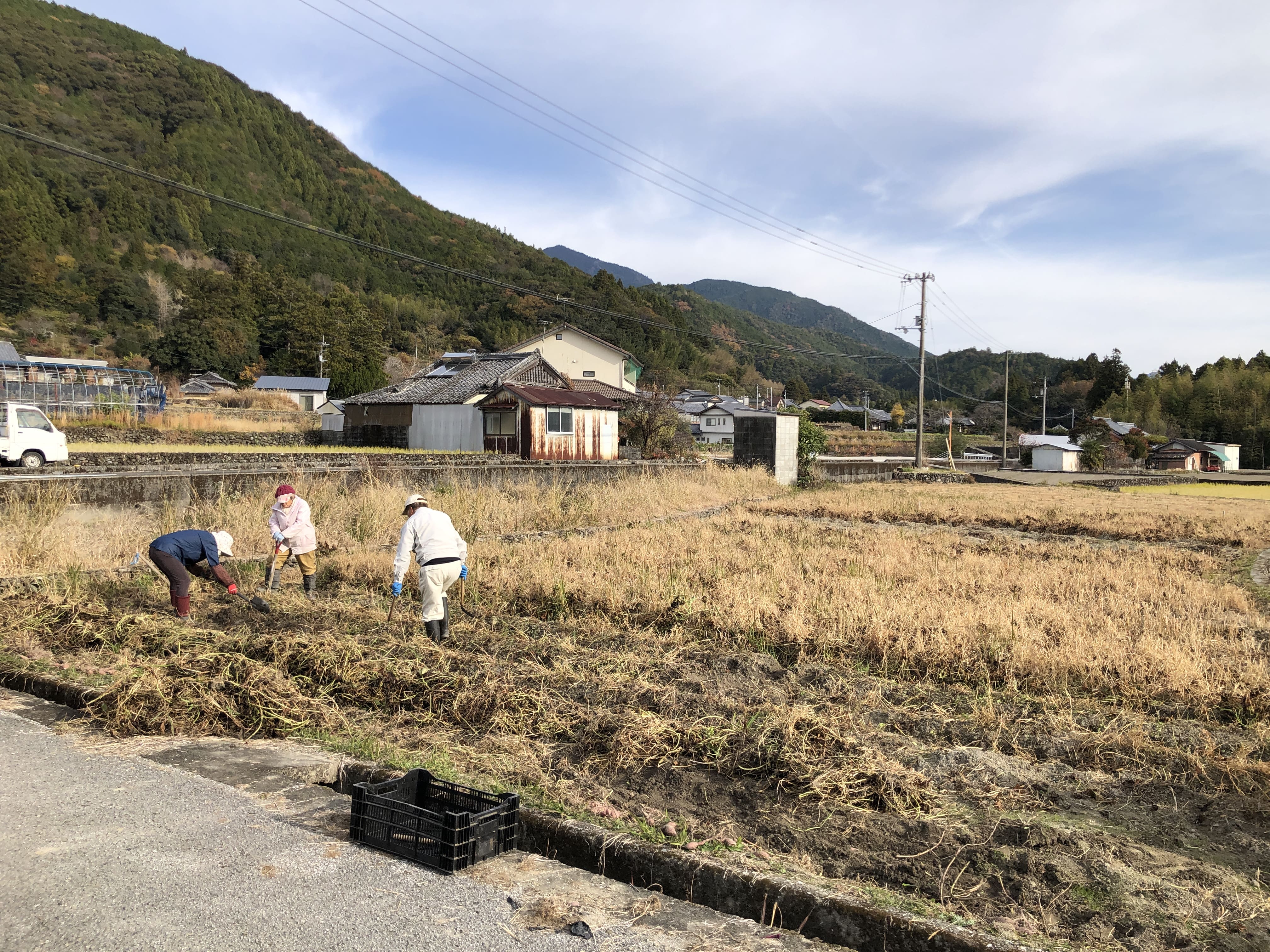 クワフル記事　作業畑