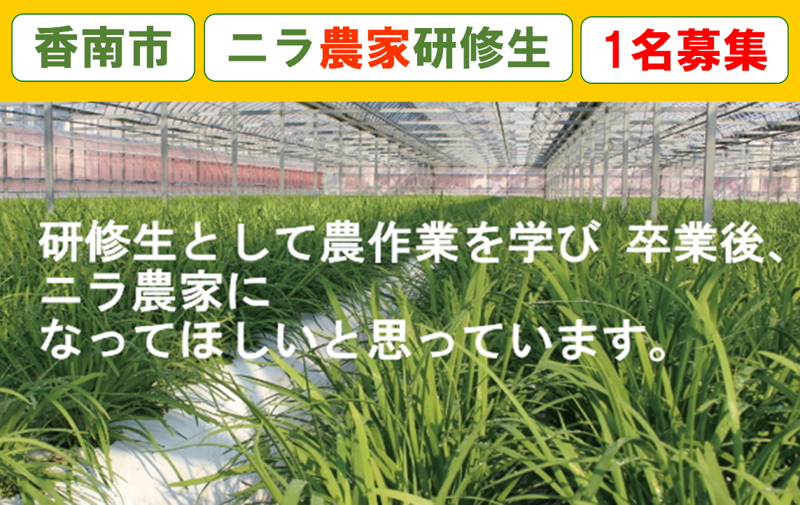 【香南市】日本一の生産地で『ニラ』農家を目指す！地域おこし協力隊を募集中！
