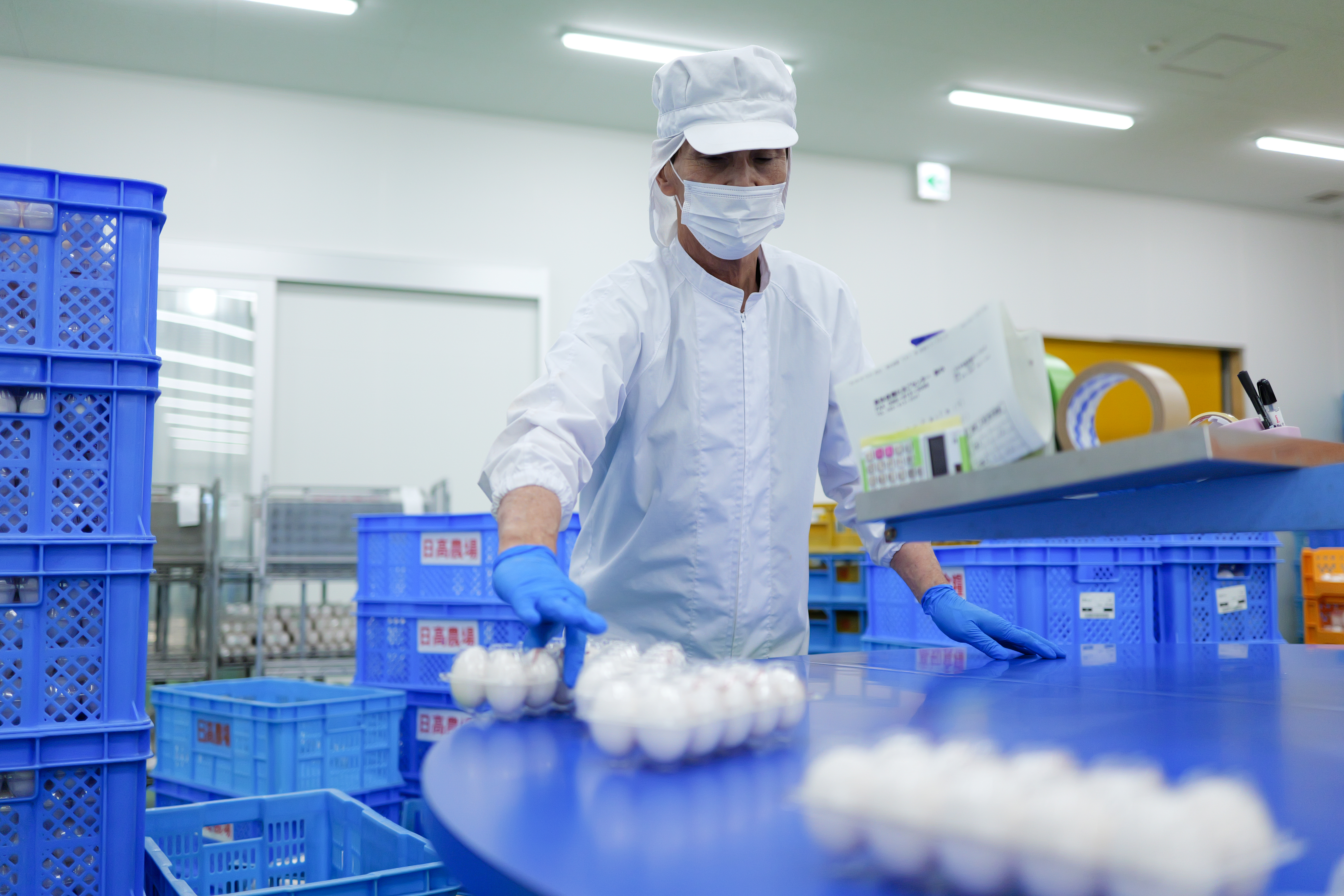 【将来の工場長候補】最新設備の新築工場で、卵の生産管理から人材育成まで担うリーダーへの成長を全力でバックアップします！