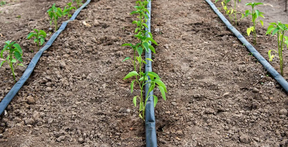 【農業資材のルート営業　ノルマ無し（個人・法人）】✅将来の幹部候補！✅賞与年2回✅福利厚生充実✅正社員