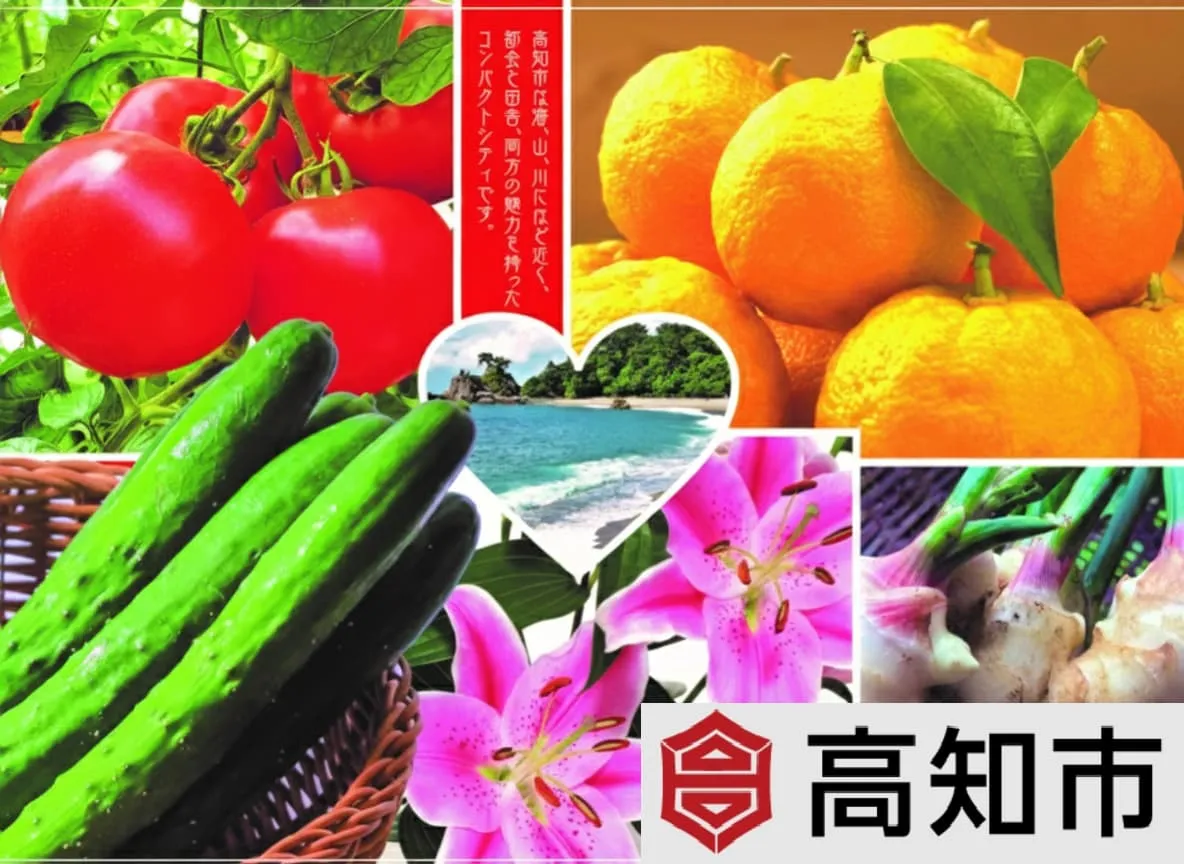 高知市のイメージ