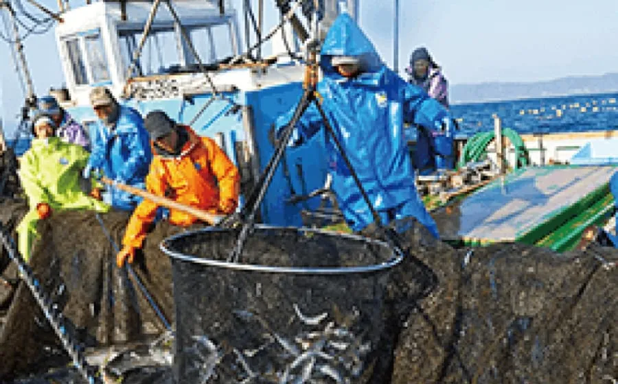 （株）魚彩の写真