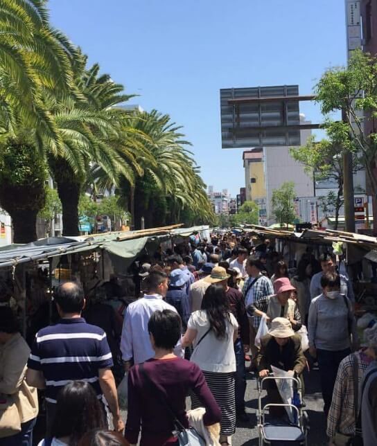 土佐の日曜市の風景