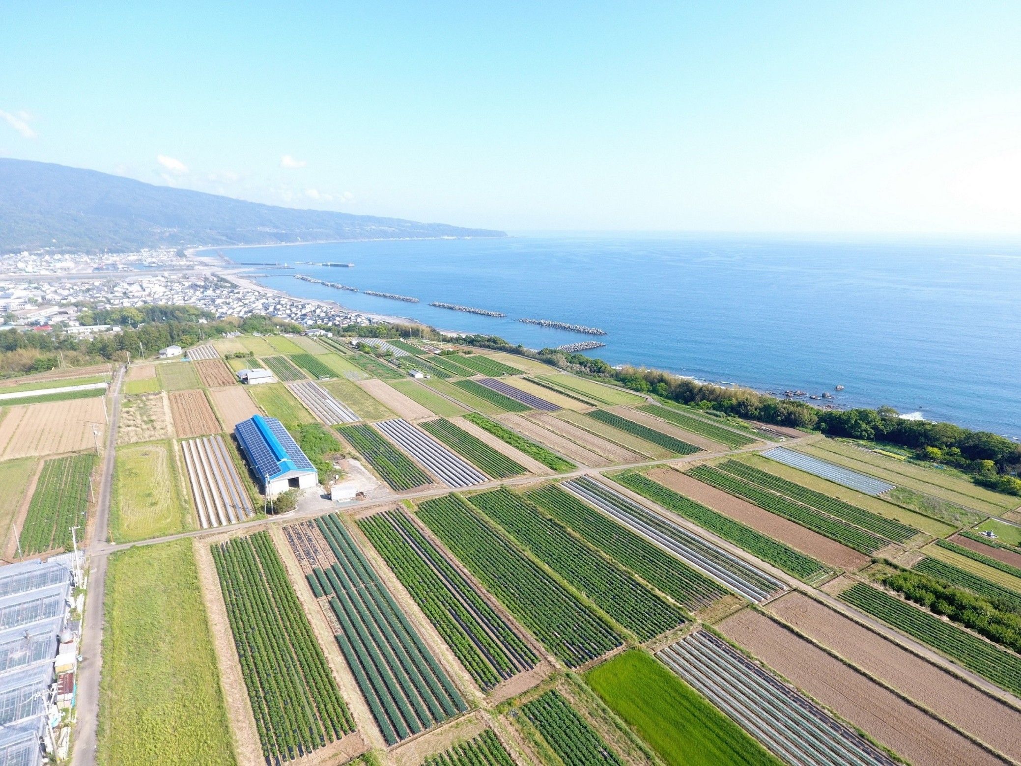 田野町のイメージ