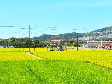 南国市のイメージ
